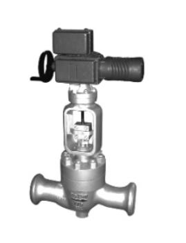 Boiler feed water control valve